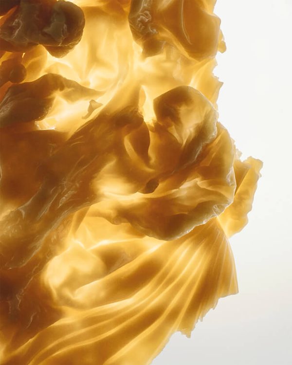 BEESWAX129771 1