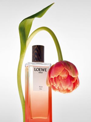 Elixir´s Still life 01