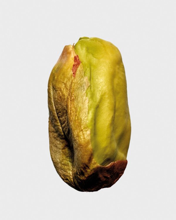 LOEWE_Ingredientes_26_158430