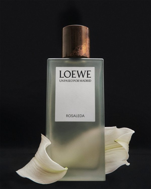 LOEWE_UPPM STILL LIFE_02 (Rosaleda)