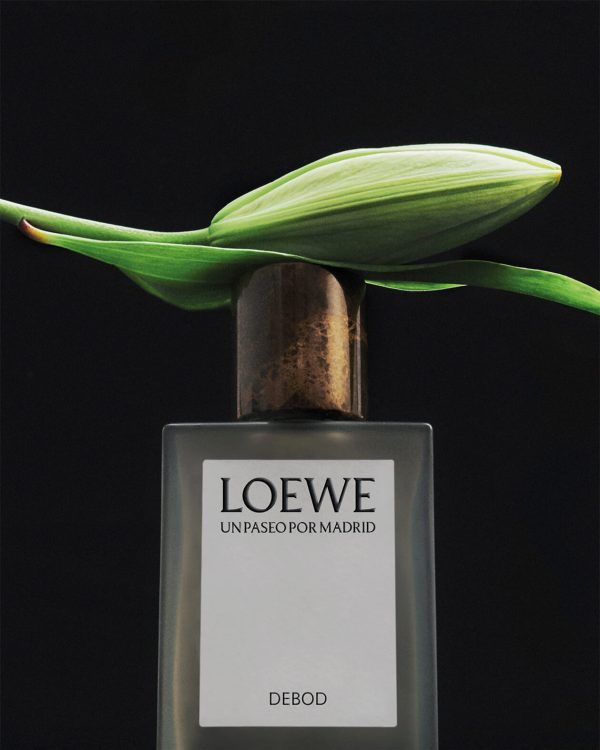 LOEWE_UPPM STILL LIFE_04 (Debod)
