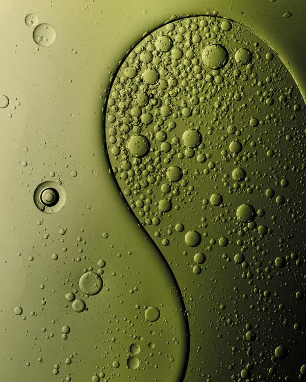 Loewe_Elixir_2_132639
