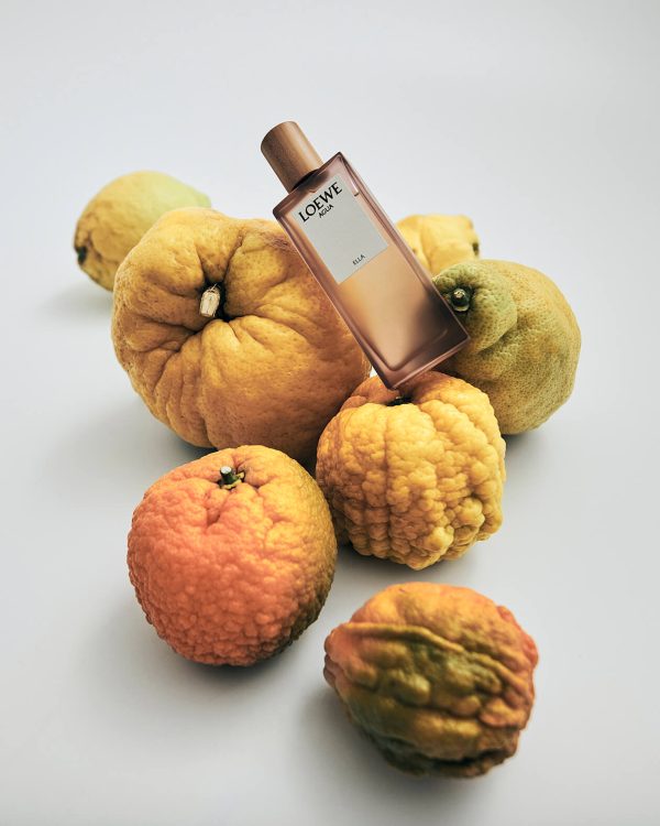 Loewe_Marzo_0125649