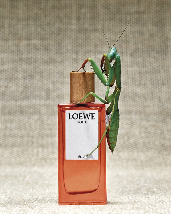 loewe__MiniatureSet_134497_HR1