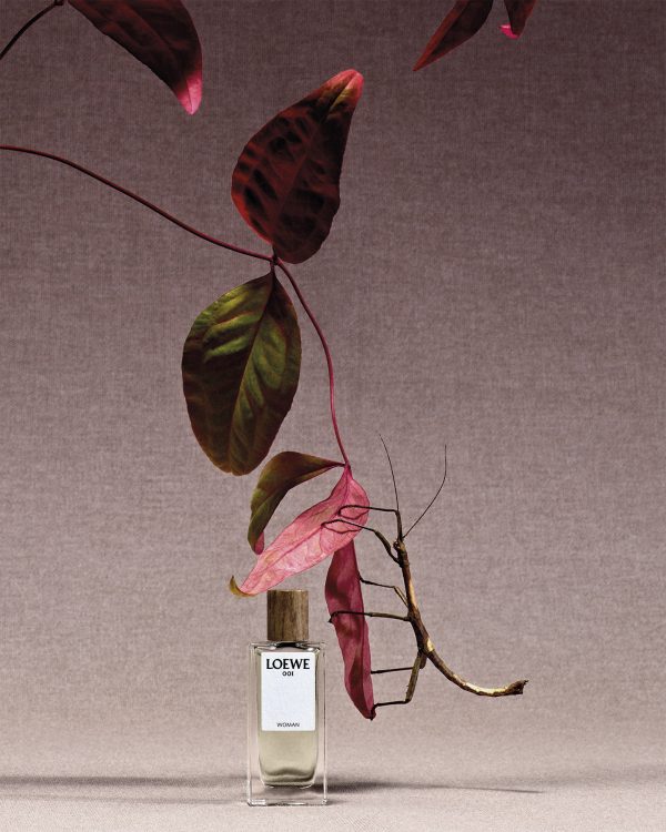 loewe__MiniatureSet_134967_HR1